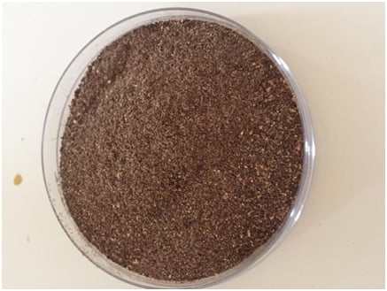 Larvae Protein Research